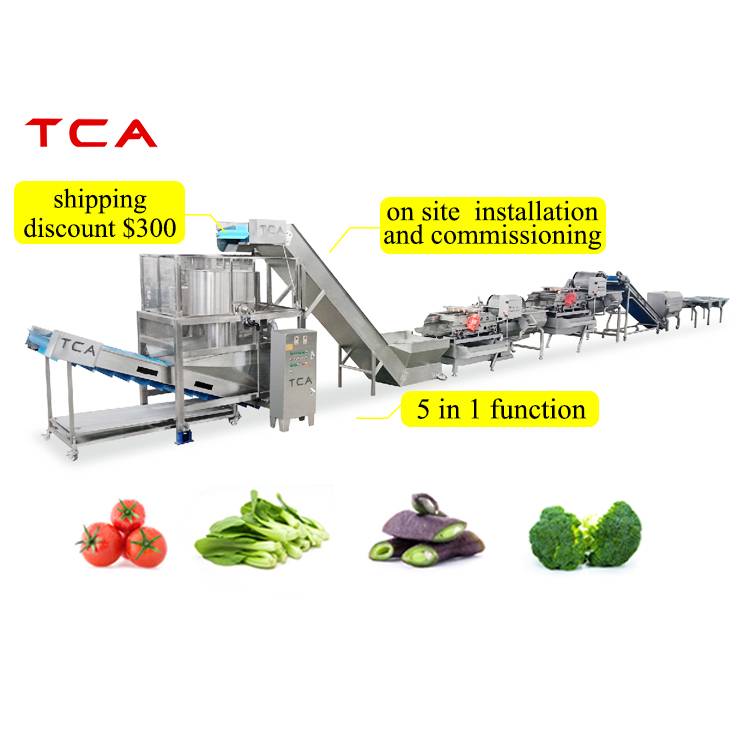 Tca Special Design For Vegetable Fruit Processing Washing Machine